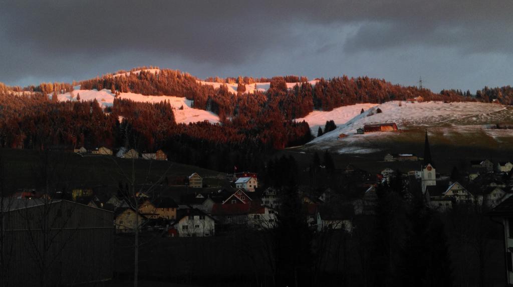 Swisscottages Blockhaus Schonengrund Номер фото